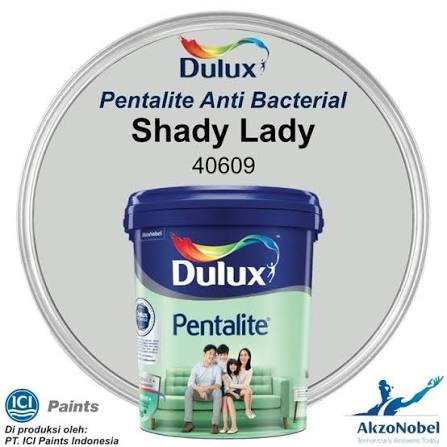 Dulux Cat Tembok Interior Pentalite 40609T Shady Lady (1 Galon = 2,5Liter )
